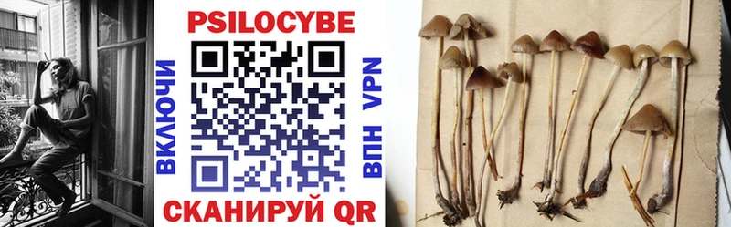 Псилоцибиновые грибы мухоморы  Евпатория 